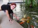 Fauna 3